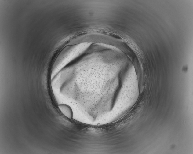 X0000116870442201001121305