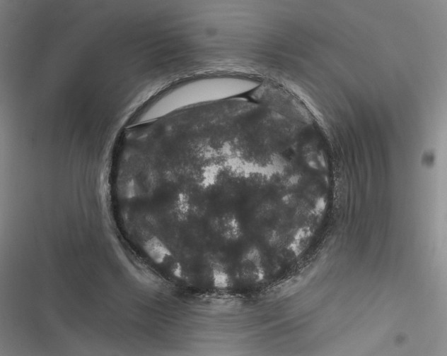 X0000116870443201001121305