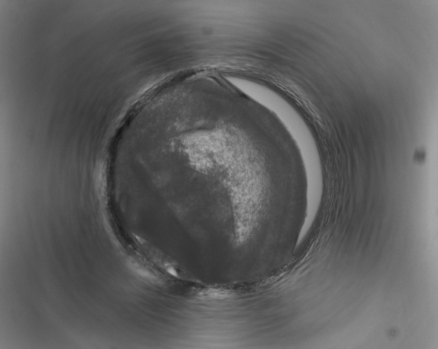 X0000116870444201001121305