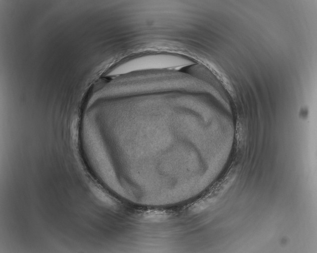 X0000116870445201001121305