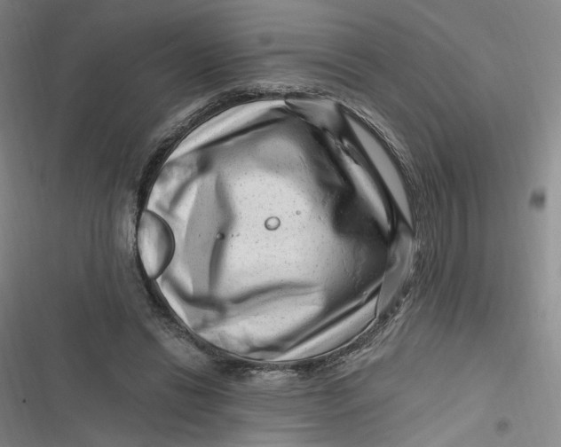 X0000116870446201001121305