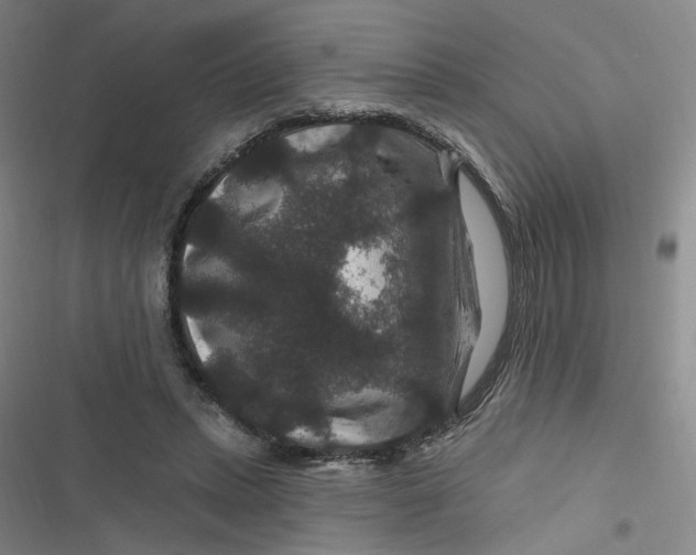 X0000116870447201001121305