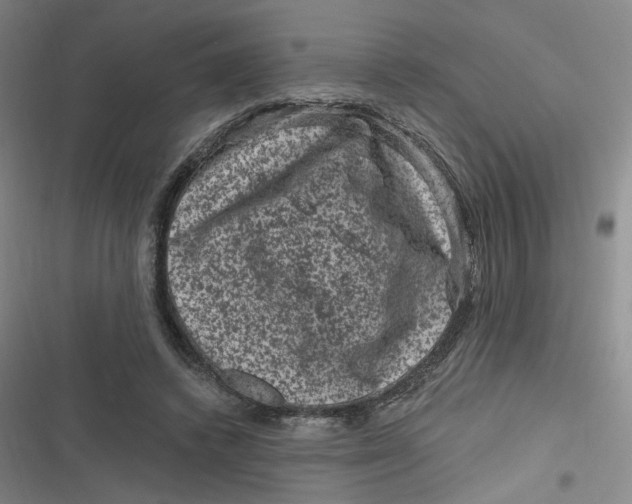 X0000116870448201001121305