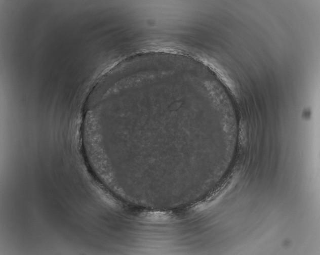 X0000116870449201001121305