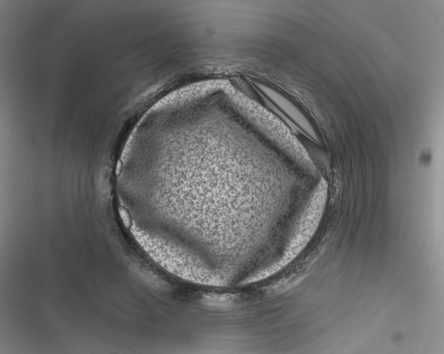 X0000116870450201001121305