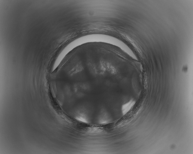 X0000116870451201001121305