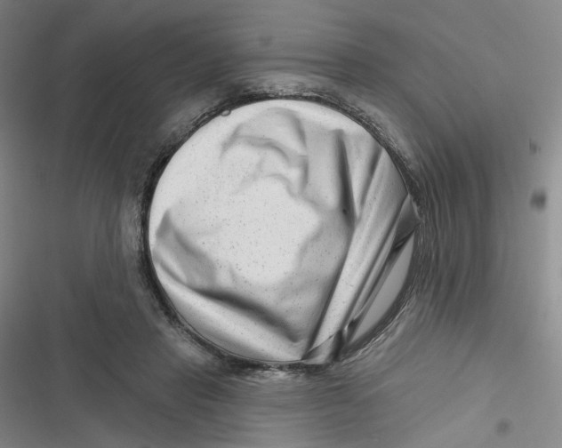 X0000116870453201001121305