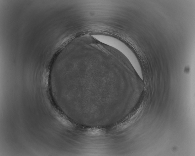 X0000116870454201001121305