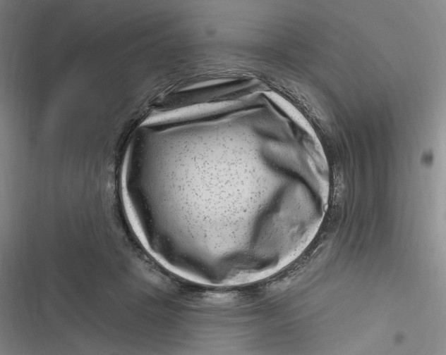 X0000116870457201001121305