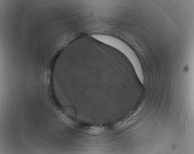 X0000116870458201001121305