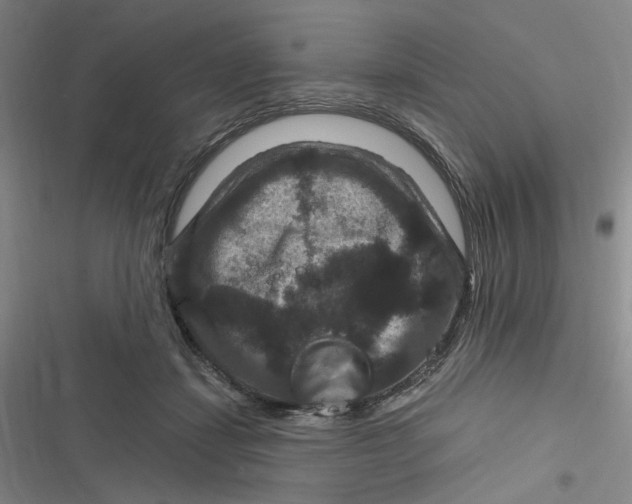 X0000116870459201001121305