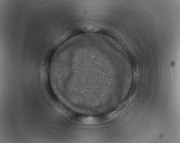 X0000116870460201001121305