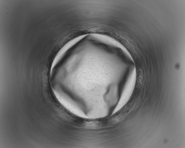 X0000116870461201001121305