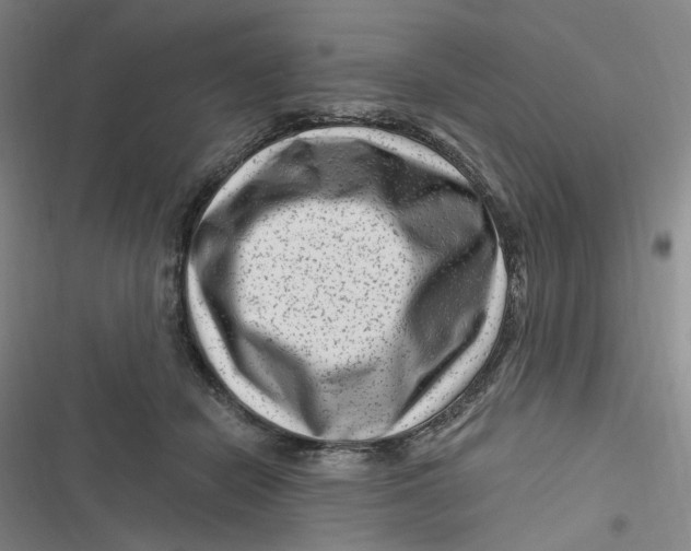 X0000116870462201001121305