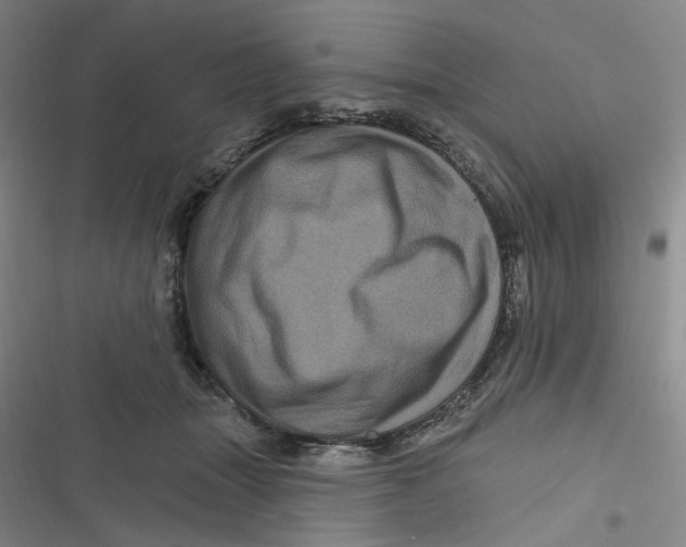 X0000116870463201001121305