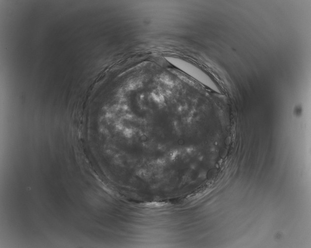 X0000116870465201001121305