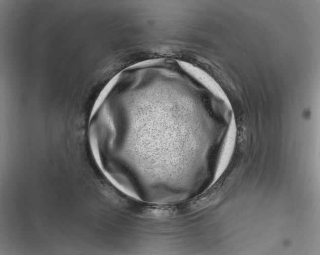 X0000116870466201001121305