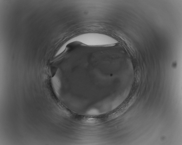 X0000116870467201001121305