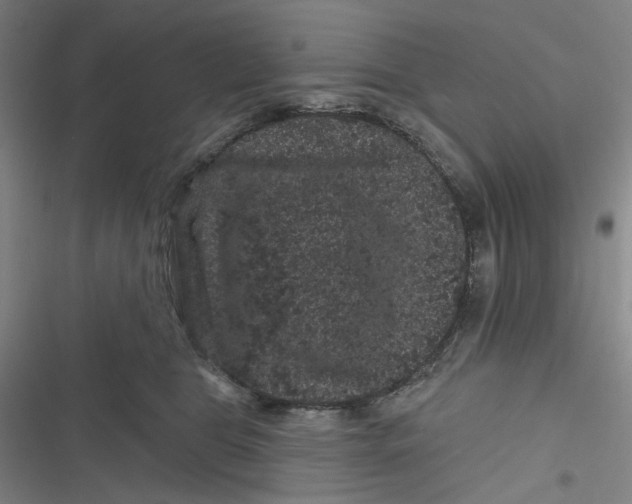 X0000116870469201001121305