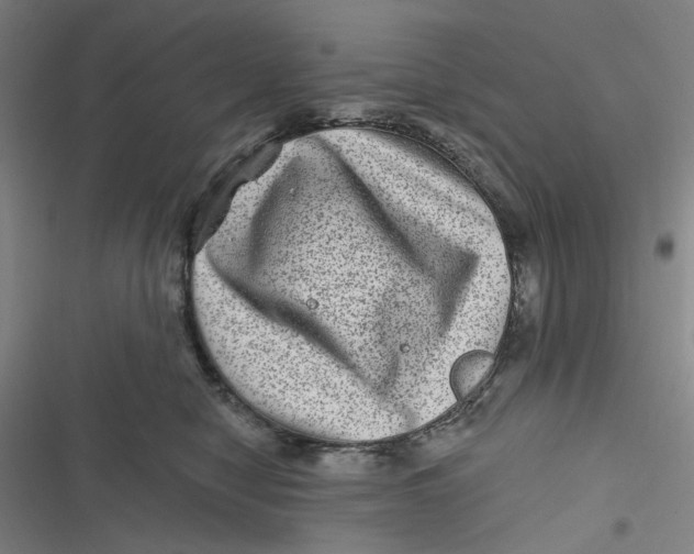 X0000116870470201001121305