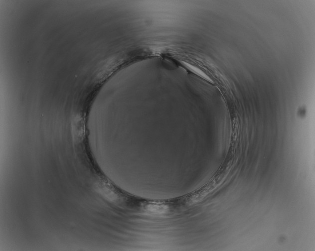 X0000116870471201001121305