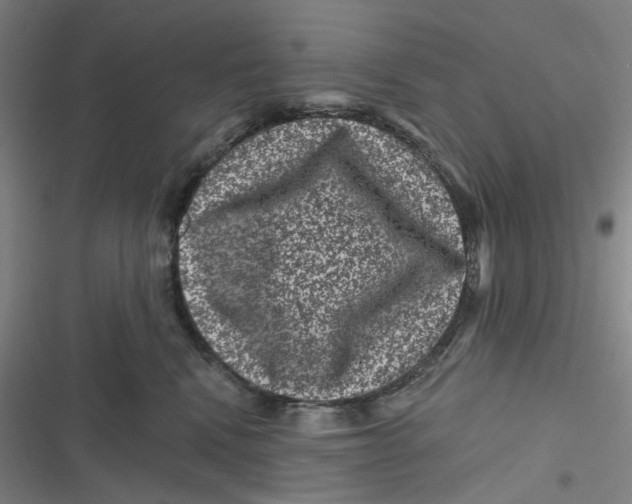 X0000116870472201001121305