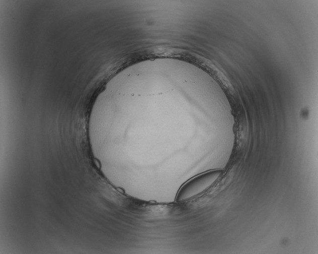 X0000116870473201001121305