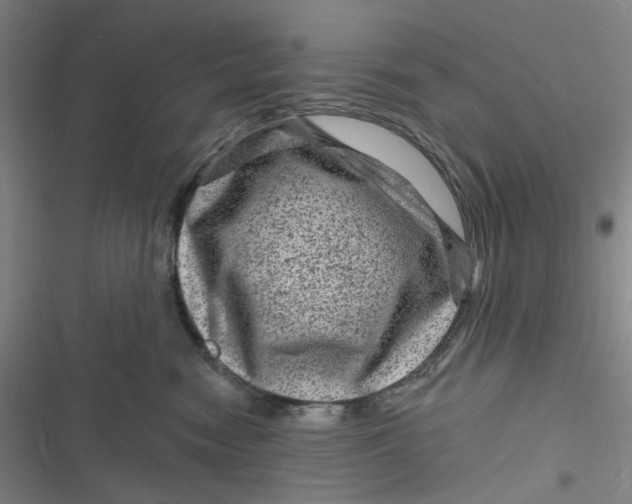 X0000116870474201001121305