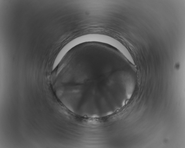 X0000116870475201001121305