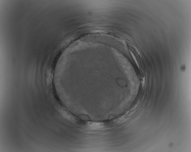 X0000116870476201001121305