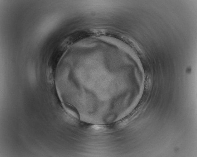 X0000116870477201001121305