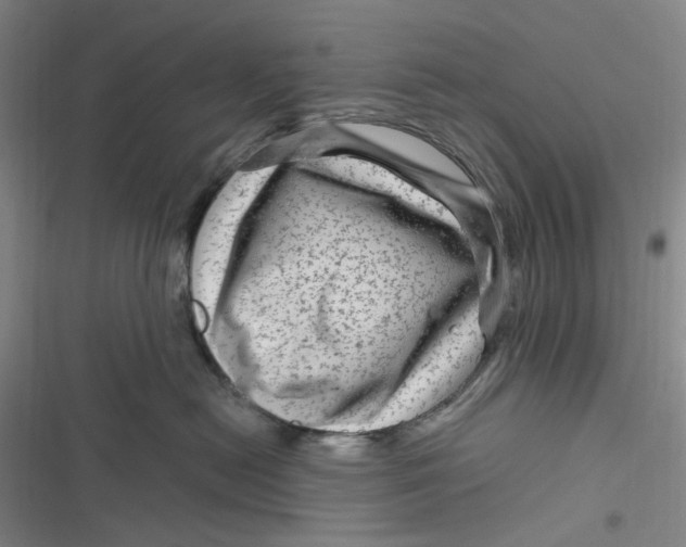 X0000116870478201001121305