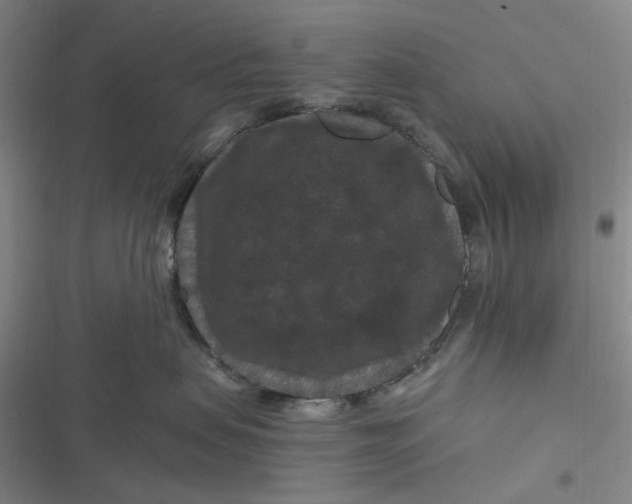 X0000116870479201001121305