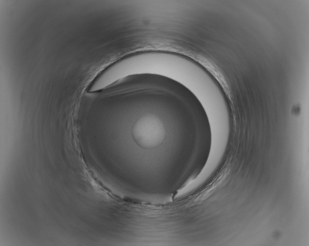 X0000116870481201001121305