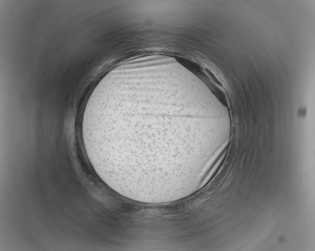 X0000116870482201001121305