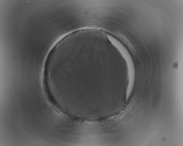 X0000116870484201001121305