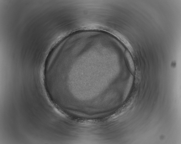 X0000116870485201001121305