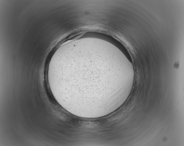 X0000116870486201001121305