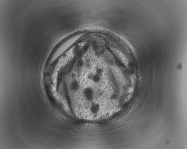 X0000116870487201001121305