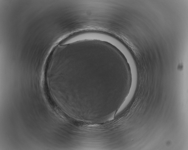 X0000116870488201001121305