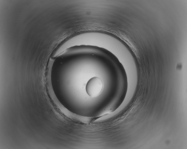 X0000116870489201001121305