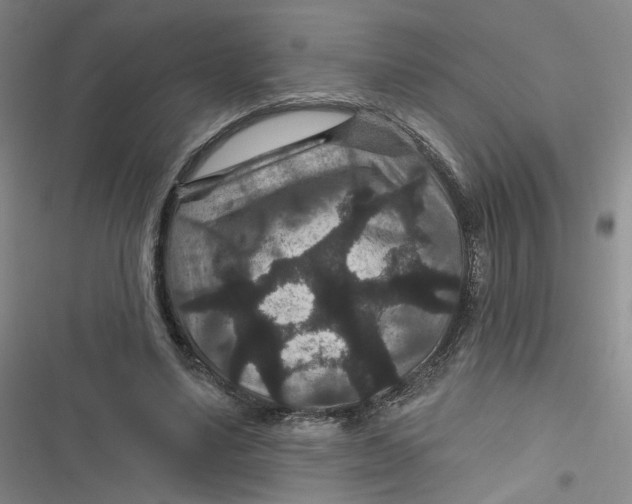 X0000116870491201001121305