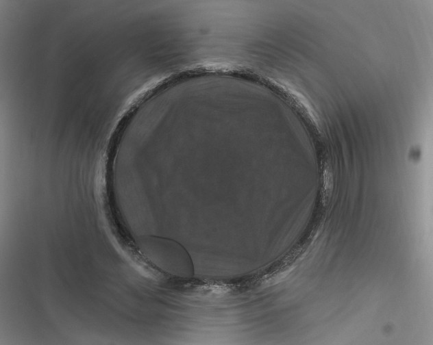 X0000116870492201001121305