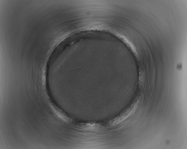 X0000116870493201001121305