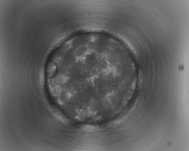 X0000116870494201001121305