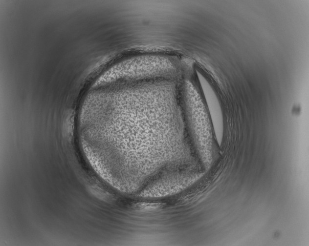 X0000116870495201001121305