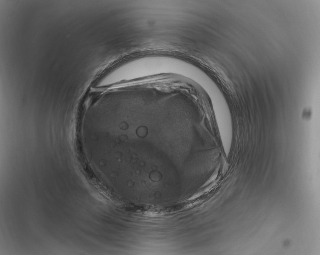 X0000116870496201001121304