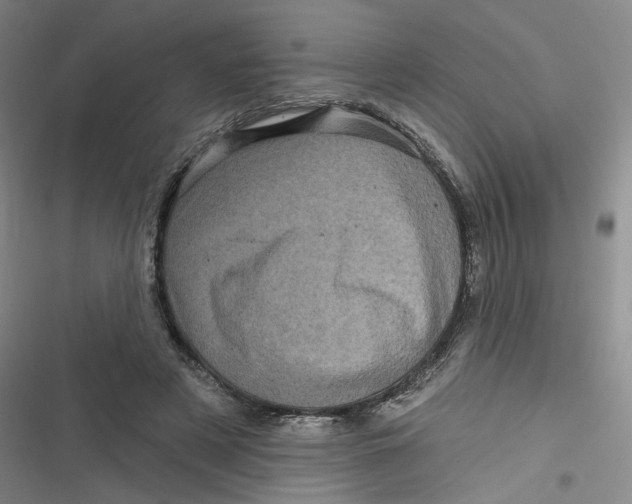 X0000116870497201001121304