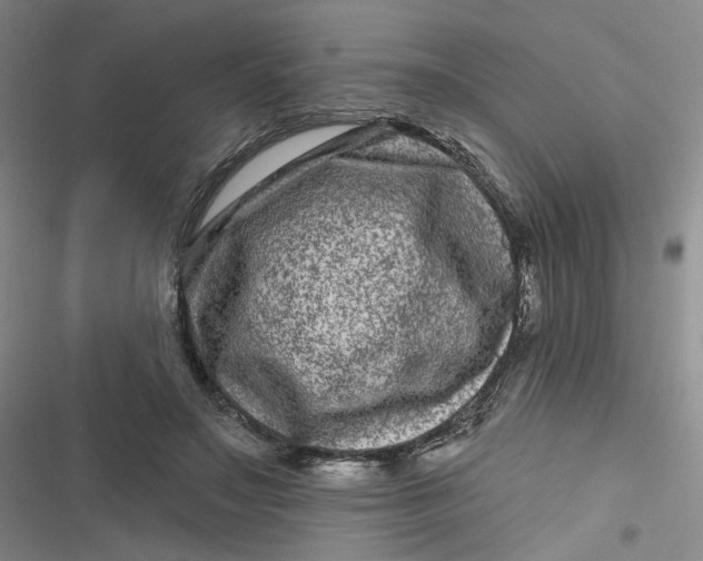 X0000116870499201001121304