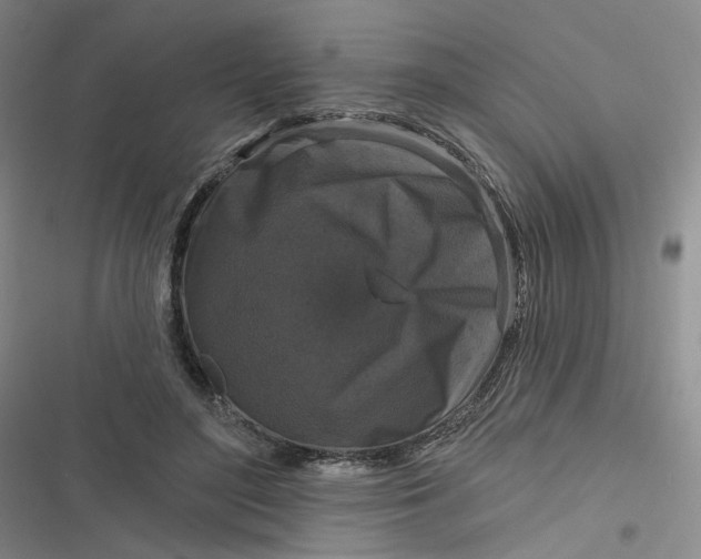 X0000116870500201001121304